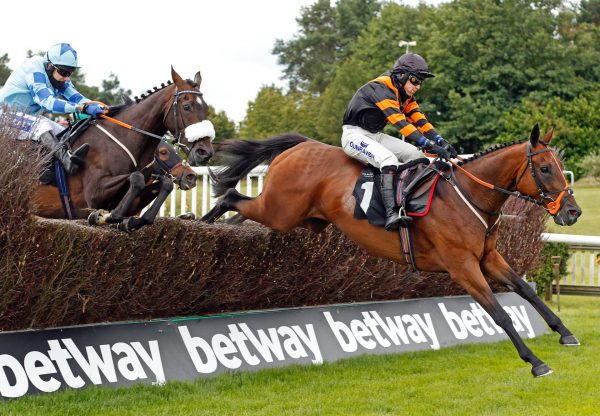 Ballyhome (Westerner) Winning a Novices' Chase At Market Rasen