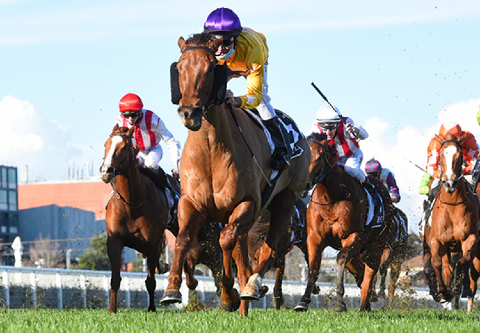 Bella Nipotina (Pride Of Dubai) winning the Gr.3 Quezette Stakes at Caulfield