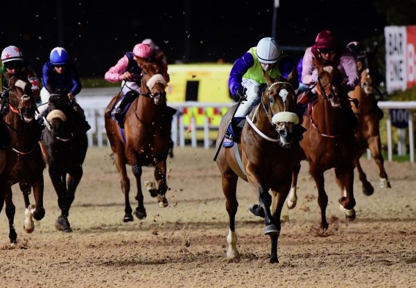 Eagles Flight (Gleneagles) Wins His Maiden At Dundalk