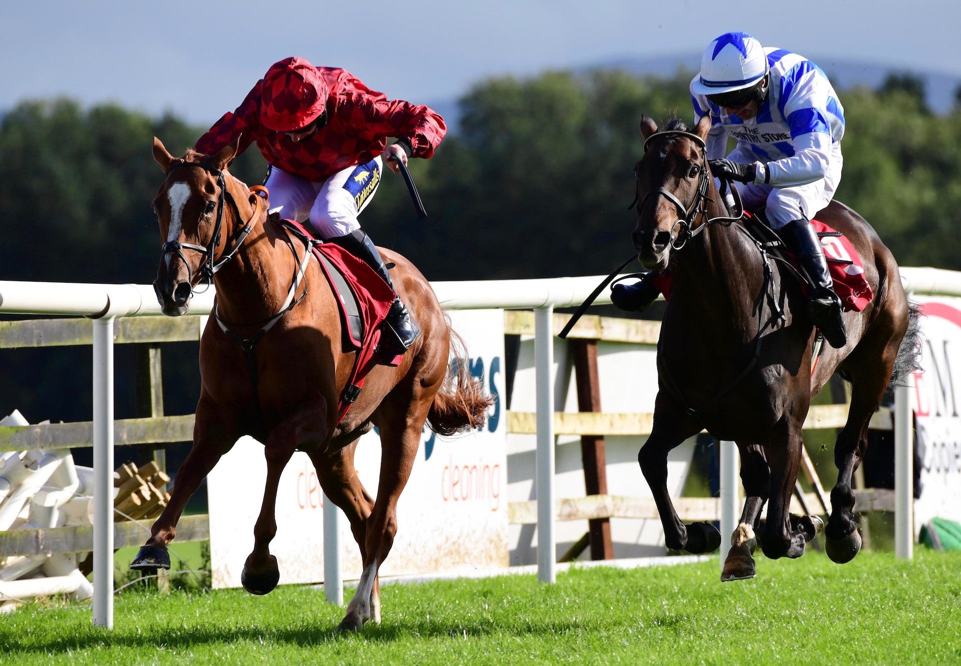 Glan (Getaway) Winning The Bumper At Punchestown