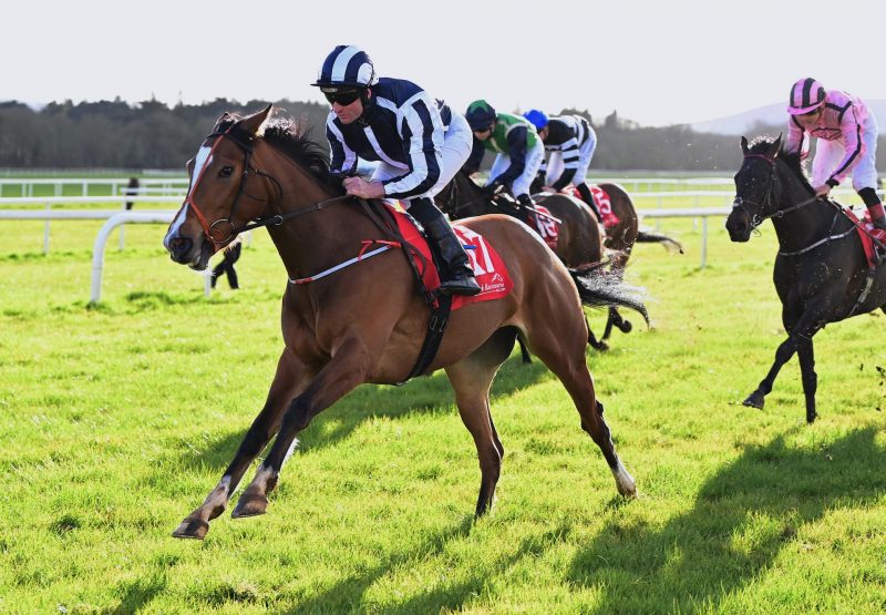 Shandy (Starspangledbanner) Wins Her Maiden At Cork