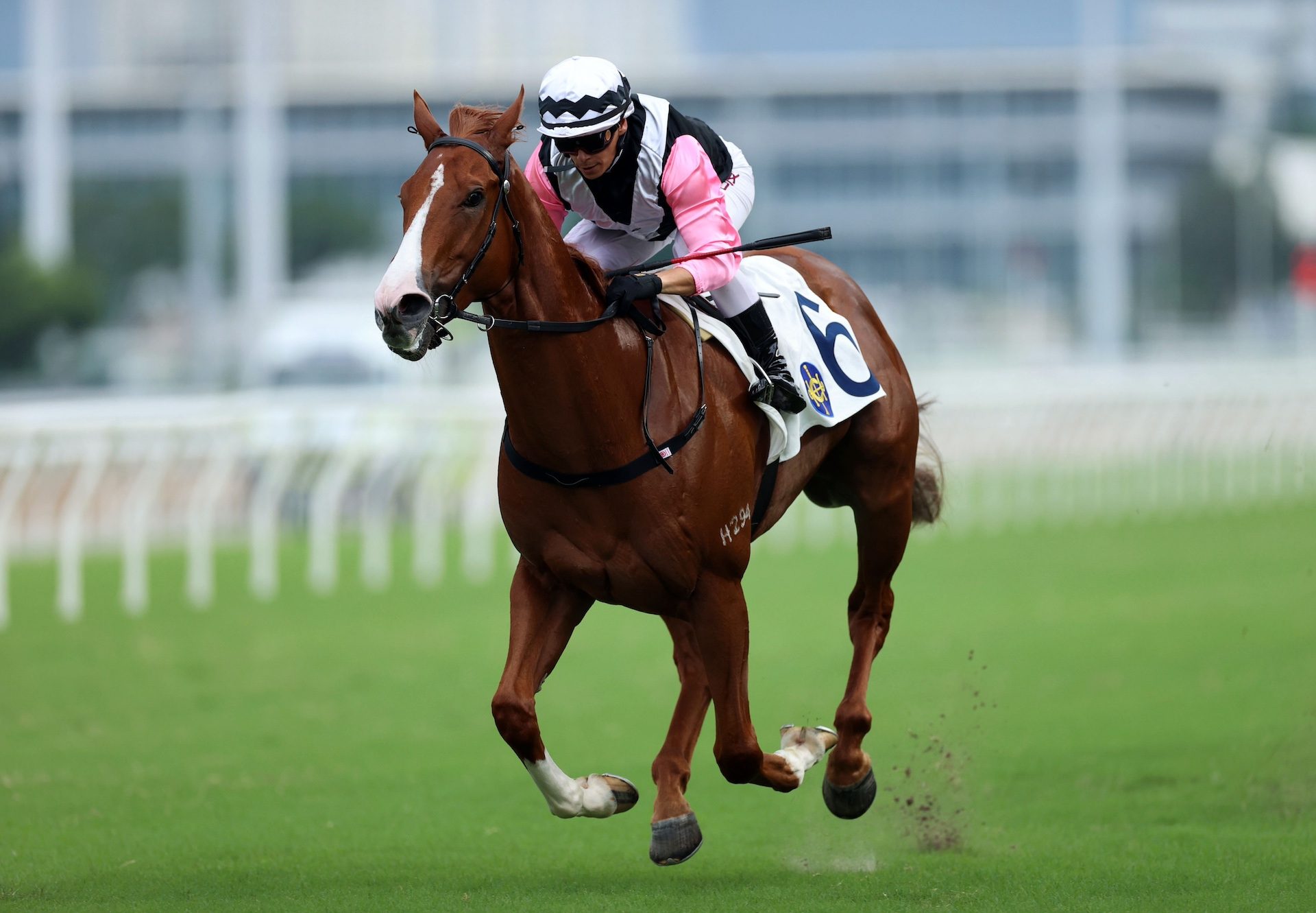 Beauty Waves (STARSPANGLEDBANNER) Wins The Group 3 National Day Cup At Sha Tin