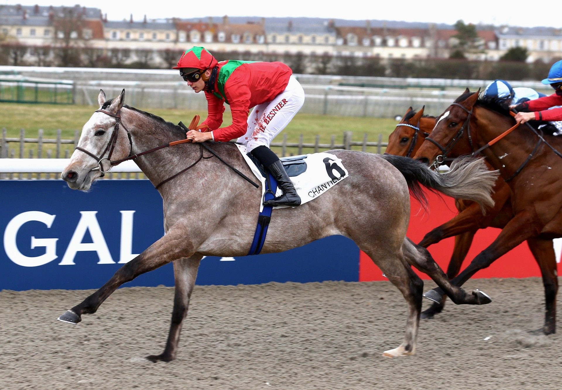 Gaidar (Churchill) Makes A Winning Debut At Chantilly