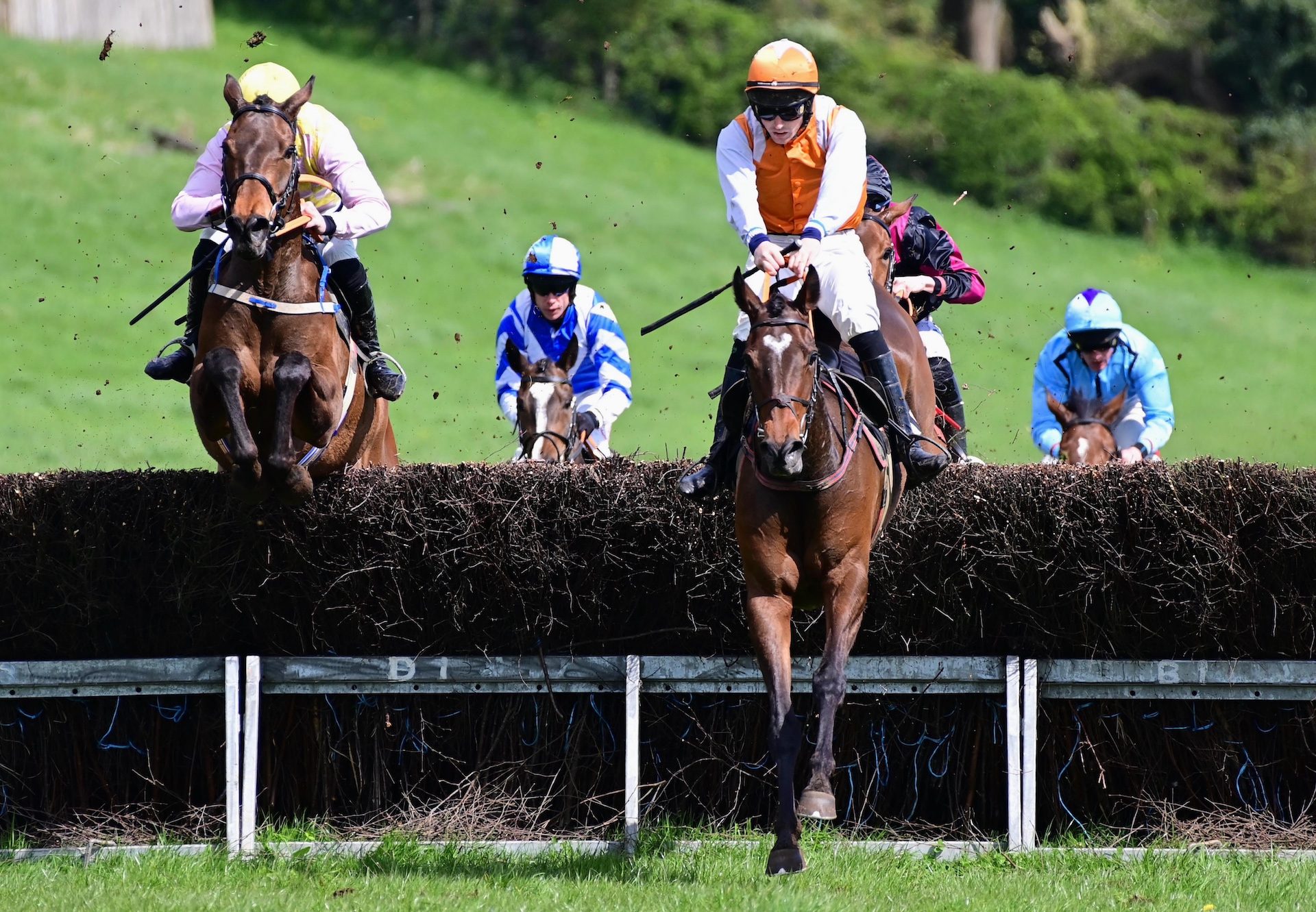 Lets Mingle (Walk in The Park) Wins The 4 Yo Mares Maiden At Loughanmore