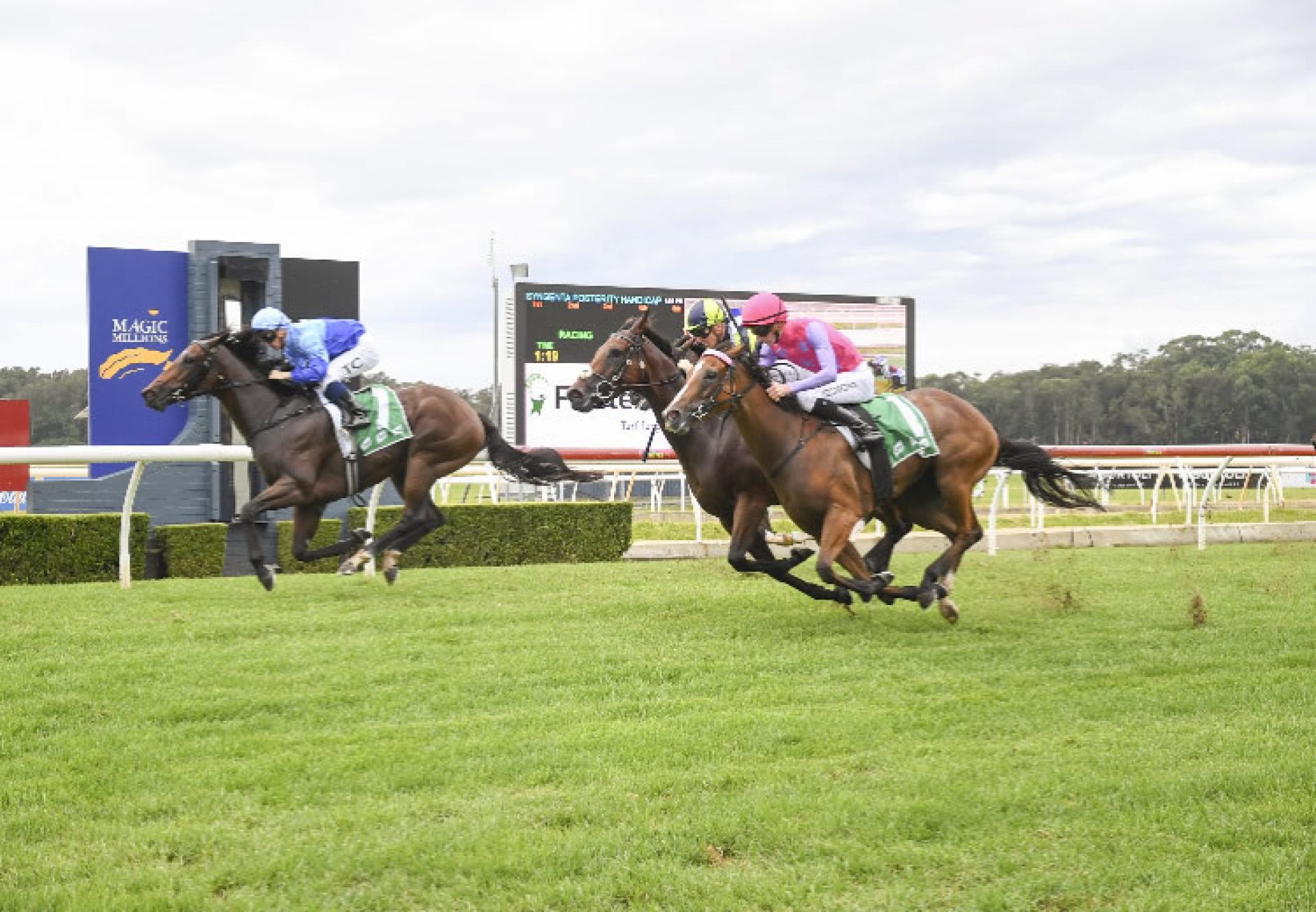 Pajanti (Pierro) winning at Wyong