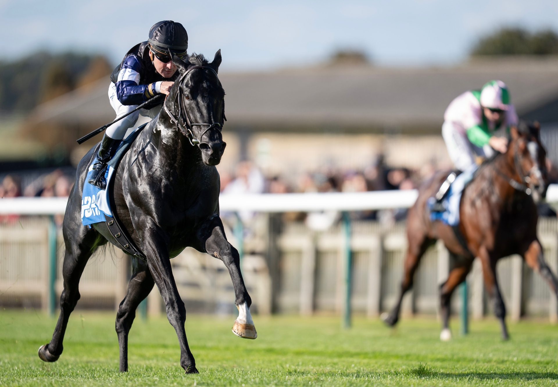 Topgear (Wootton Bassett) Wins The Group 2 Challenge Stakes