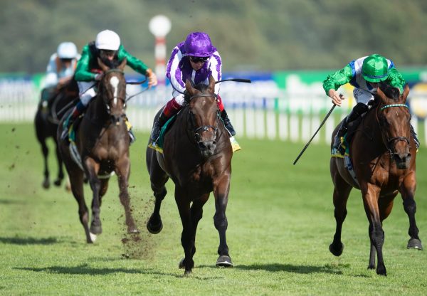 Wichita (No Nay Never) Wins The Group 2 Park Stakes at Doncaster