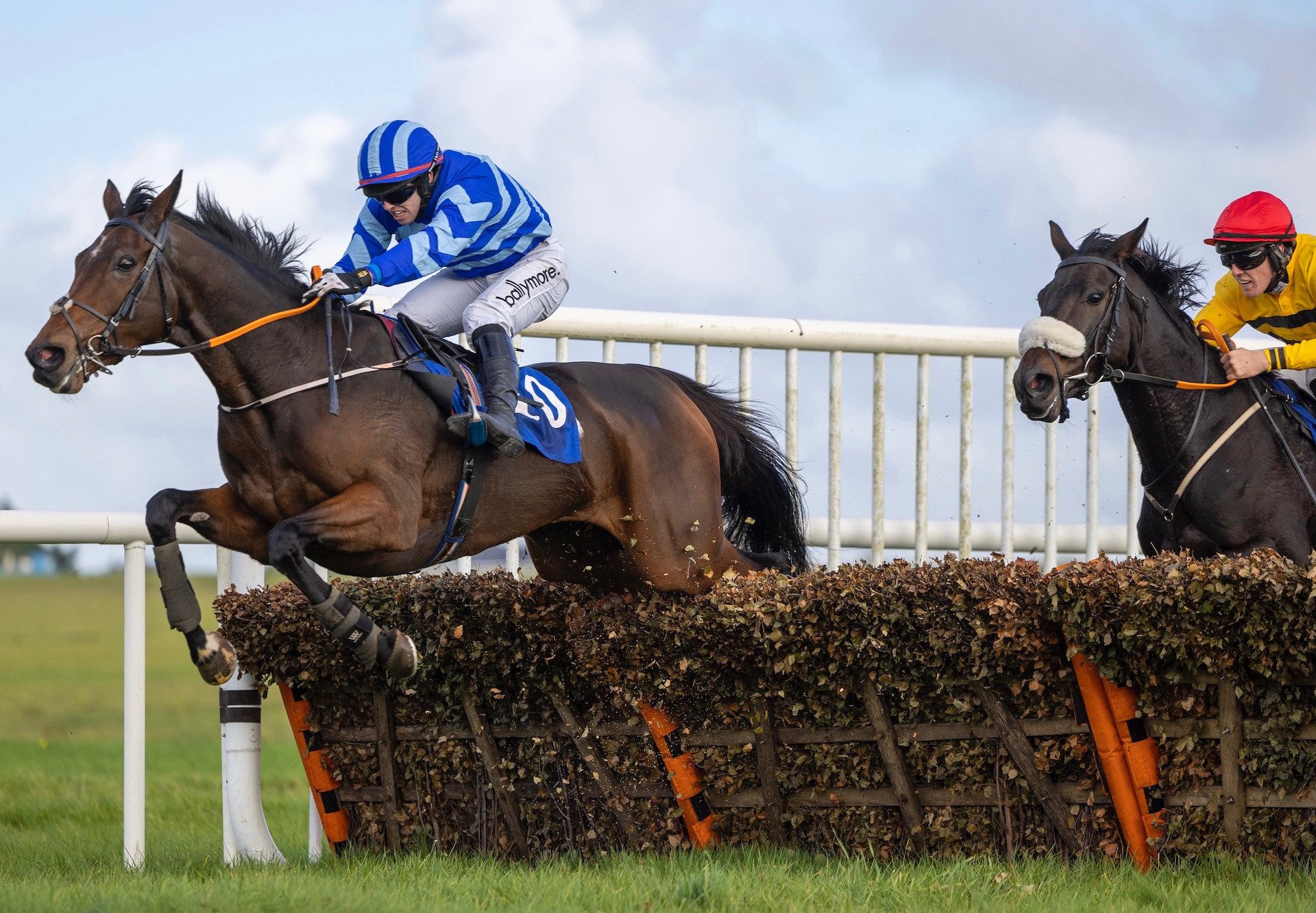 Still Ciel (Westerner) Wins The Mares Maiden Hurdle At Thurles