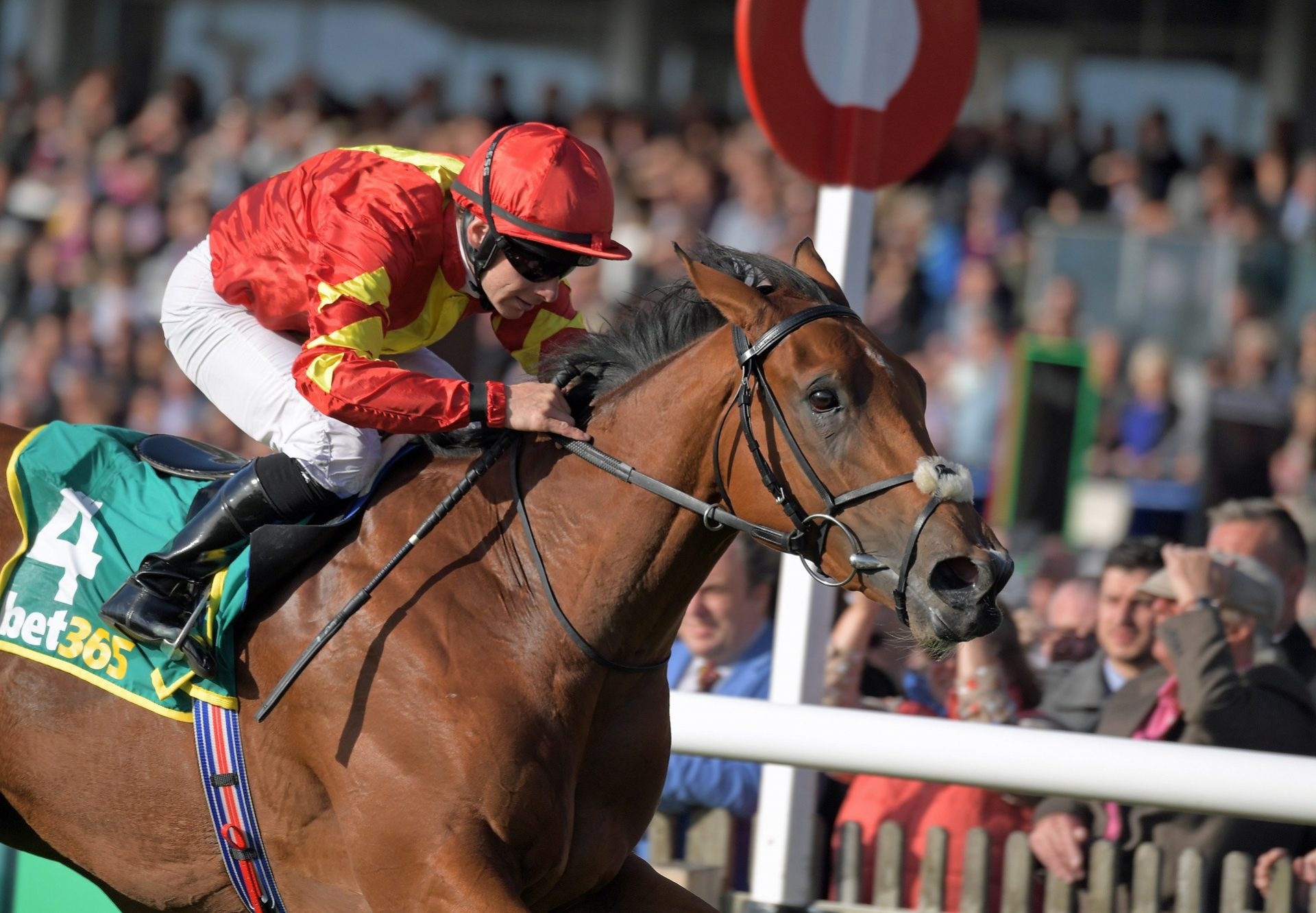 Iridessa (Ruler Of The World) winning the G1 Fillies Mile at Newmarket