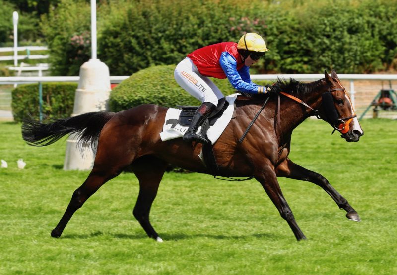 Motu Fareone (Getaway) Wins The Grade 2 Prix Des Drags at Auteuiil