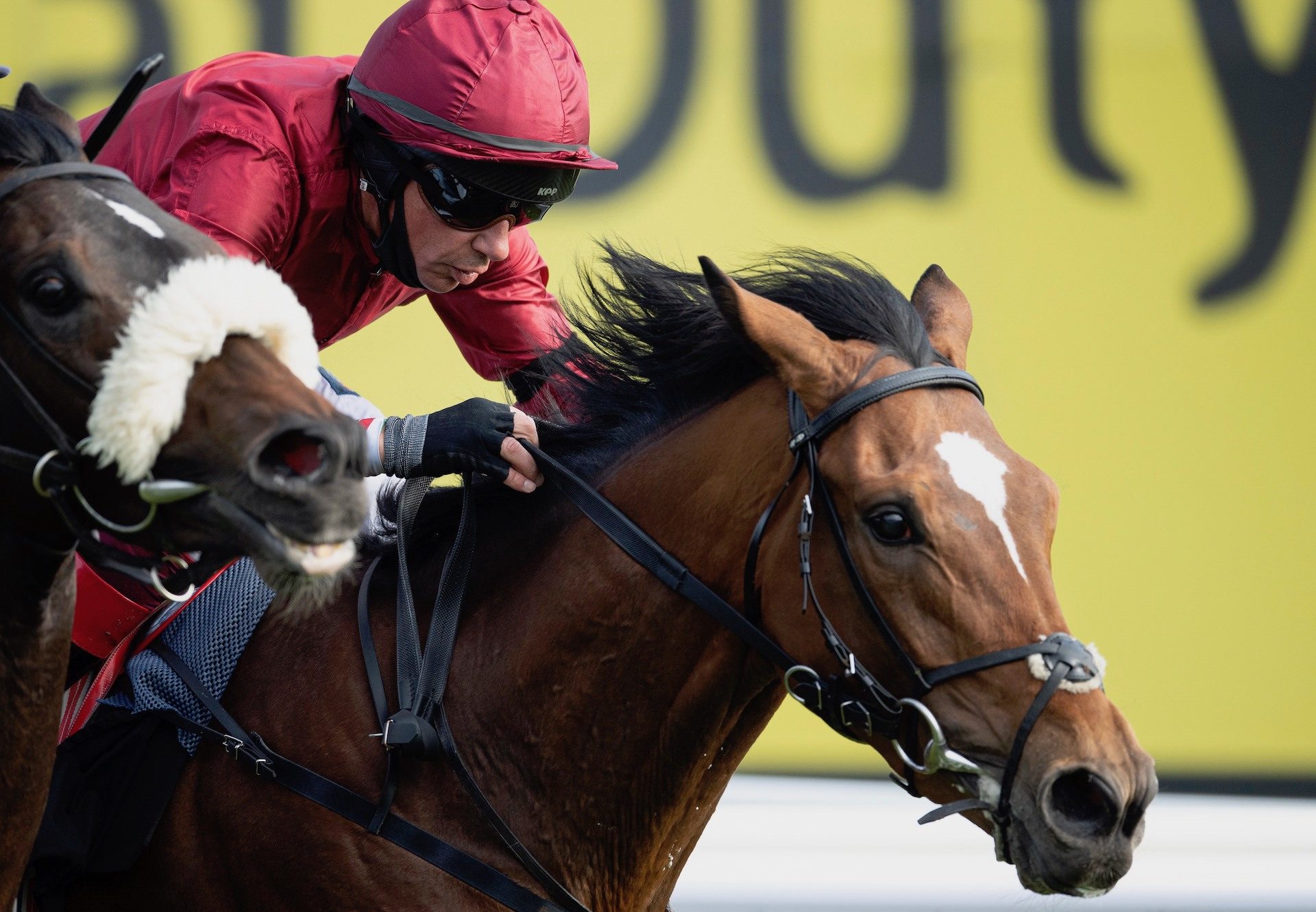 Glen Savage (Gleneagles) Makes A Winning Debut At Newbury