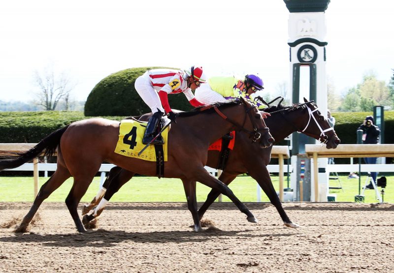 Key Of Life (Mo Town) wins the Gr.2 Beaumont Stakes at Keeneland