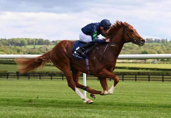 Galileo Colt Ex Golden Valentine Arqana 1