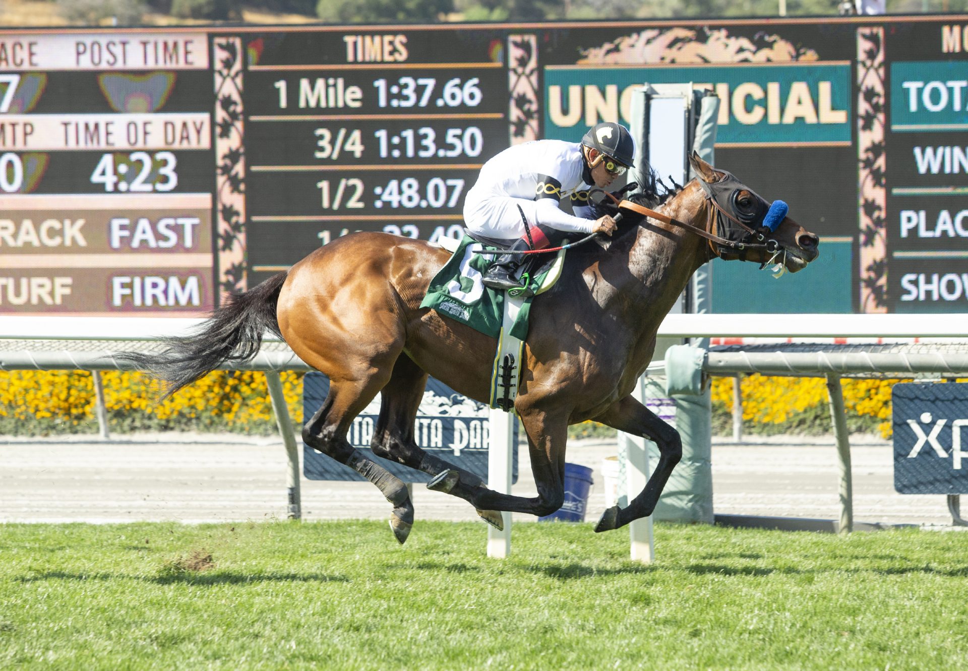 Hudson Ridge (American Pharoah) winning the Cinema Stakes at Santa Anita