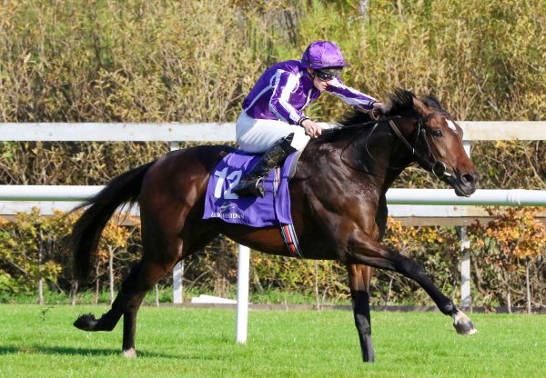 San Pedro (Gleneagles) winning his maiden at Leopardstown