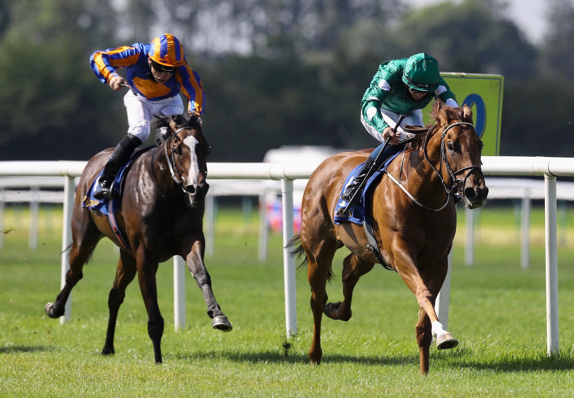 Ladies Church (Churchill) Wins The Fillies Maiden At Tipperary