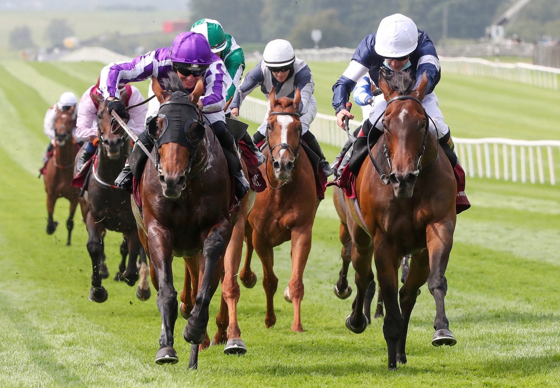 Delphi (Galileo) Wins The Gr.3 Irish St Leger Trial at the Curragh