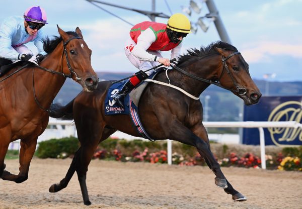 Glyndwr (Arizona) Wins His Maiden Win At Dundalk