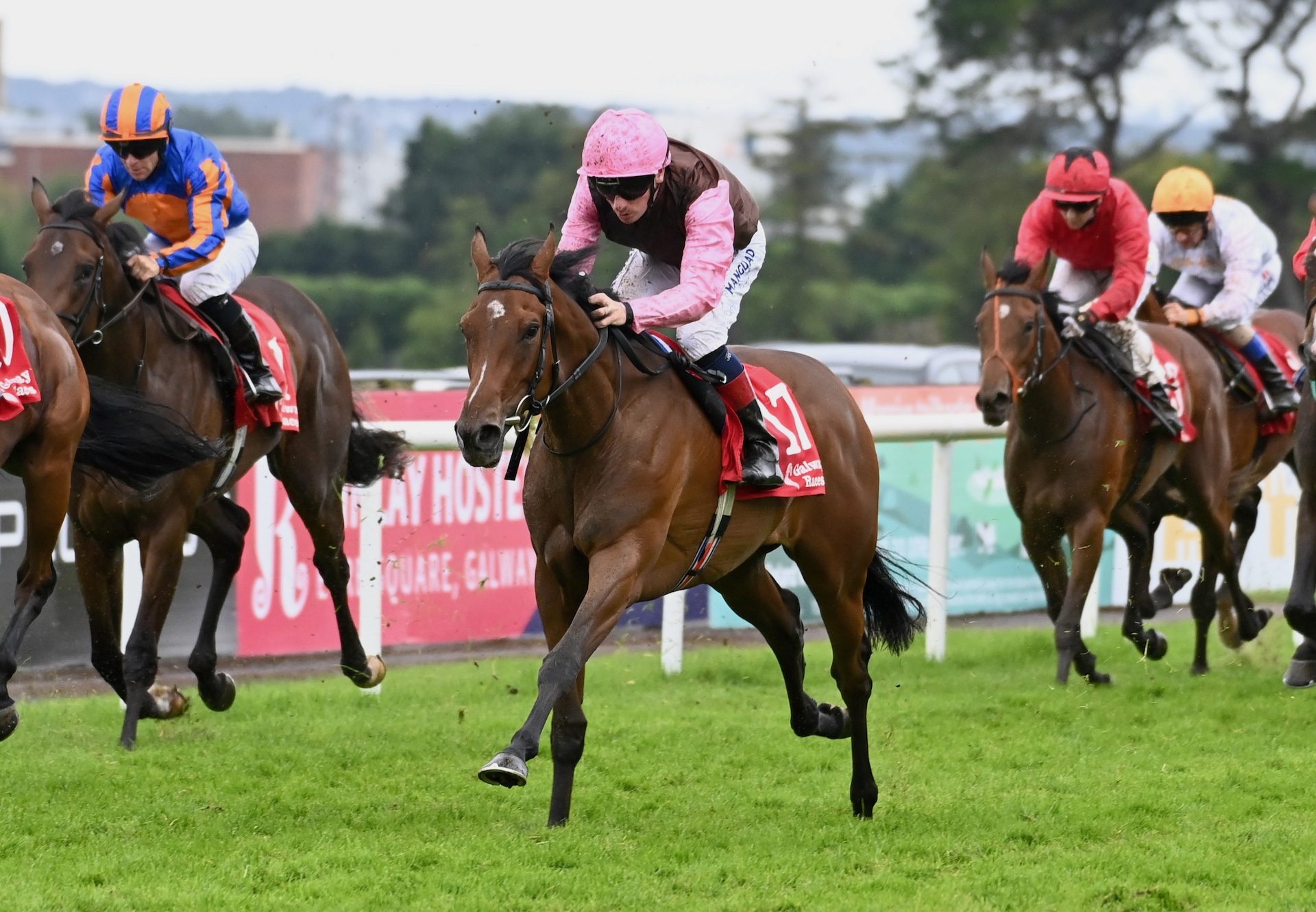 Sigh No More (Starspangledbanner) Wins Maiden At Galway