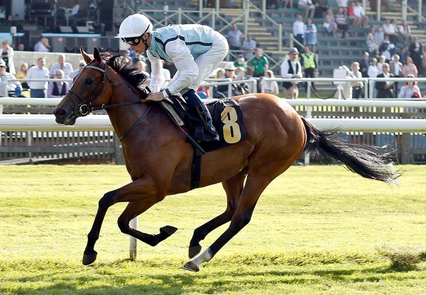 Ultra Violet (Gleneagles) winning at Newmarket