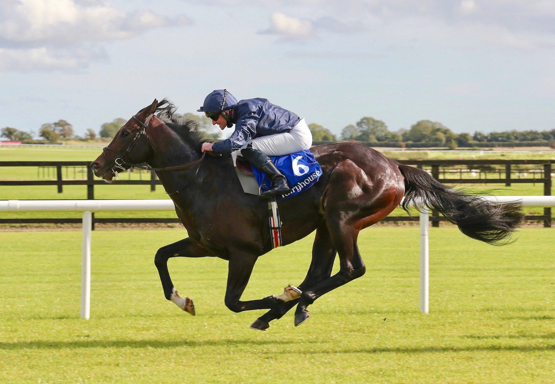 Preamble (No Nay Never) Wins His Maiden At Fairyhouse