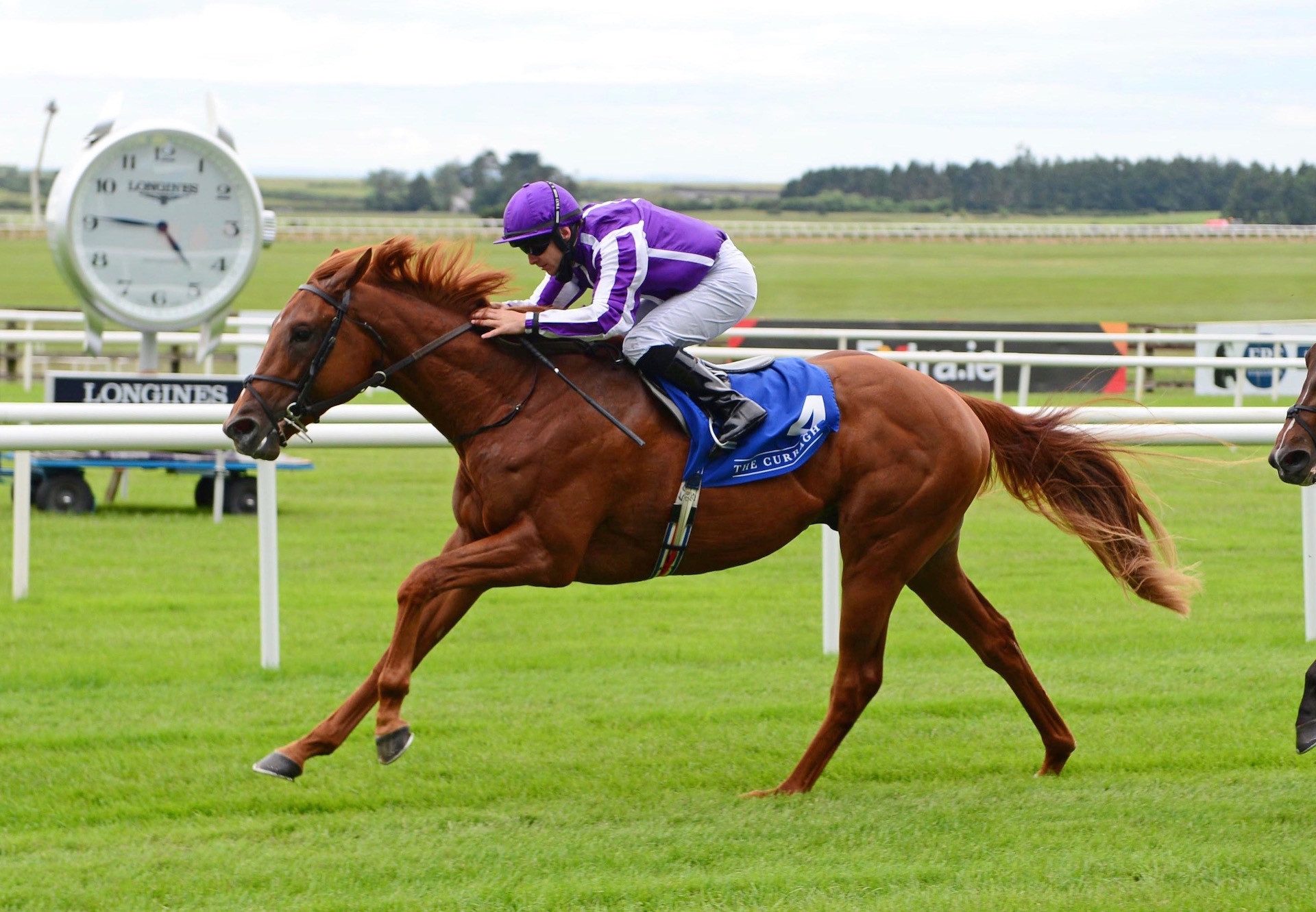 Merchants Quay (No Nay Never) Wins Curragh Maiden