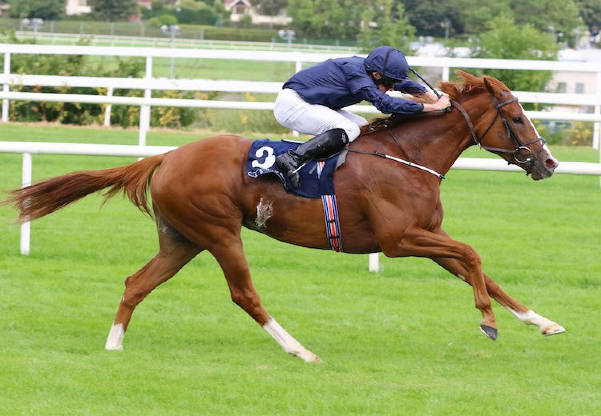 Alice Springs (Galileo) winning the G1 Matron Stakes at Leopardstown