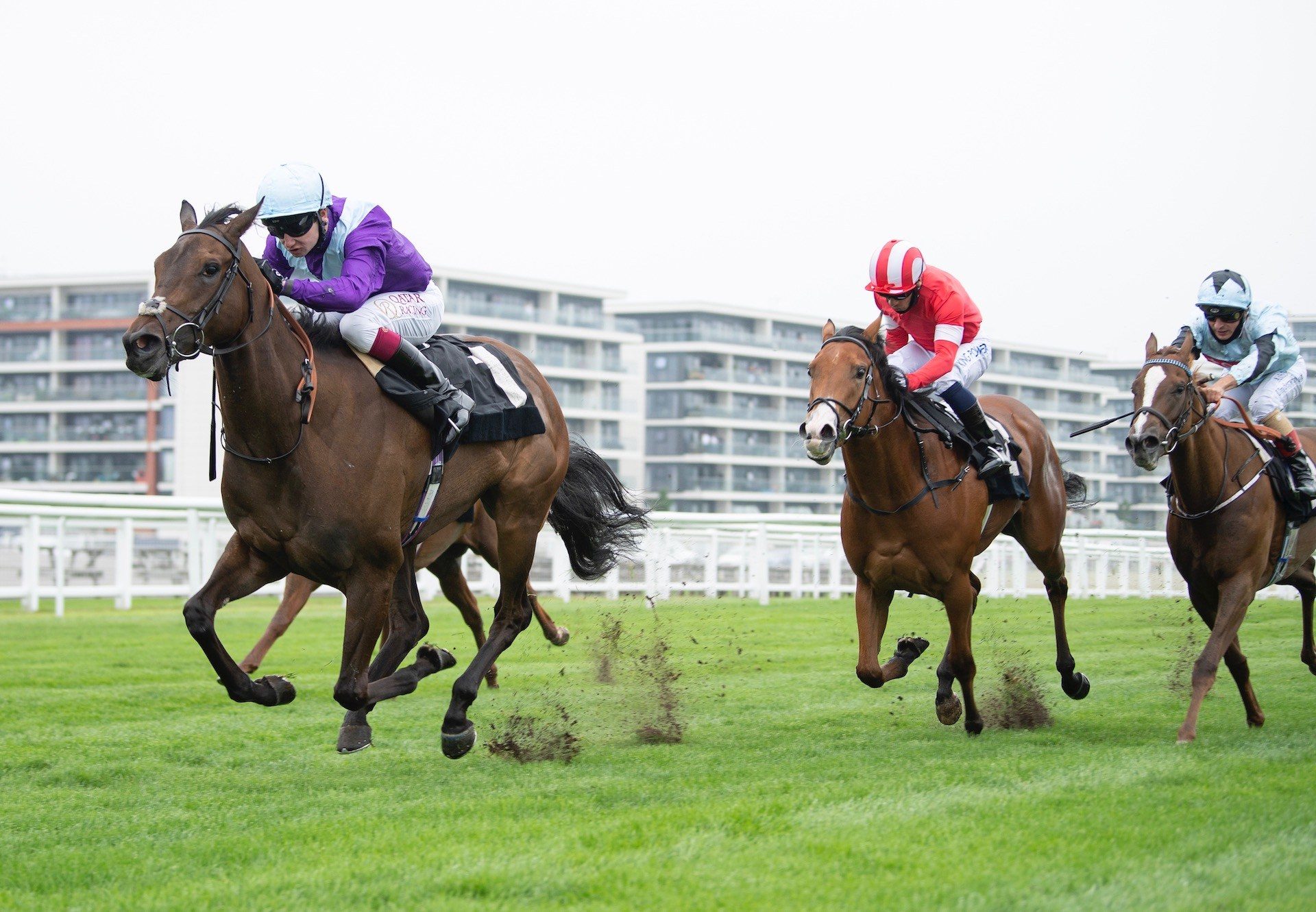 Alcohol Free (No Nay Never) Wins On Debut at Newbury