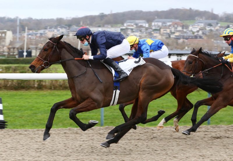 Joie De Soir (Fastnet Rock) Makes A Winning Debut At Deauville