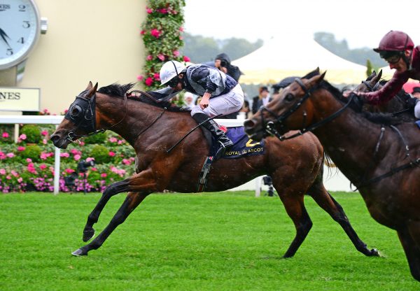 Circus Maximus (Galileo) winning the Gr.1 St James's Palace Stakes at Royal Ascot