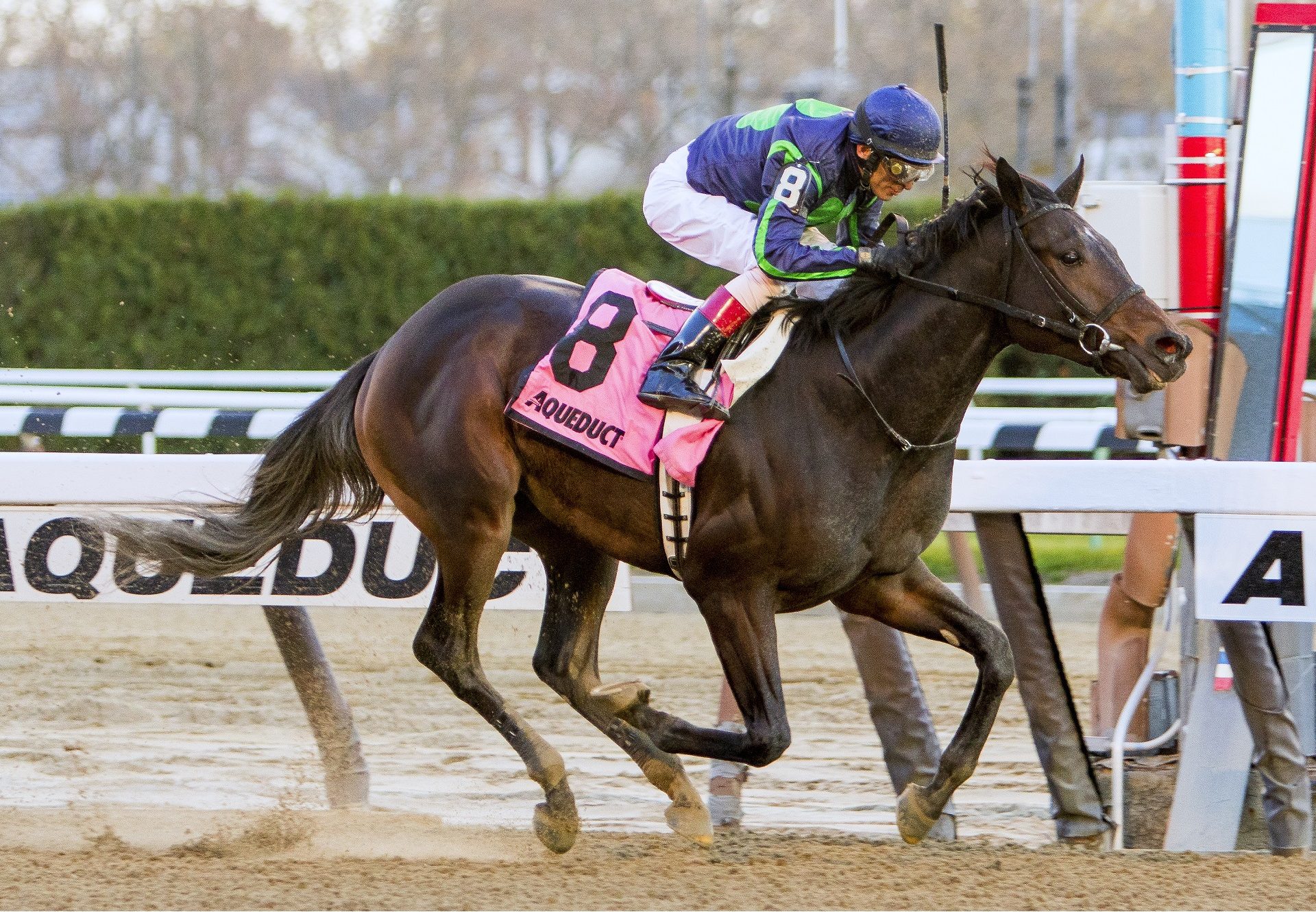 Mo Town winning the G2 Remsen Stakes at Aqueduct
