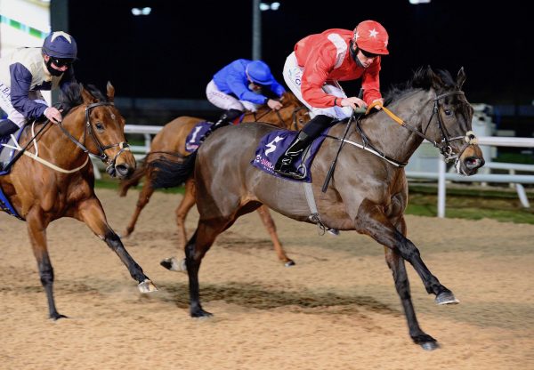 Flirting Bridge (Camelot) Wins The Fillies Maiden At Dundalk