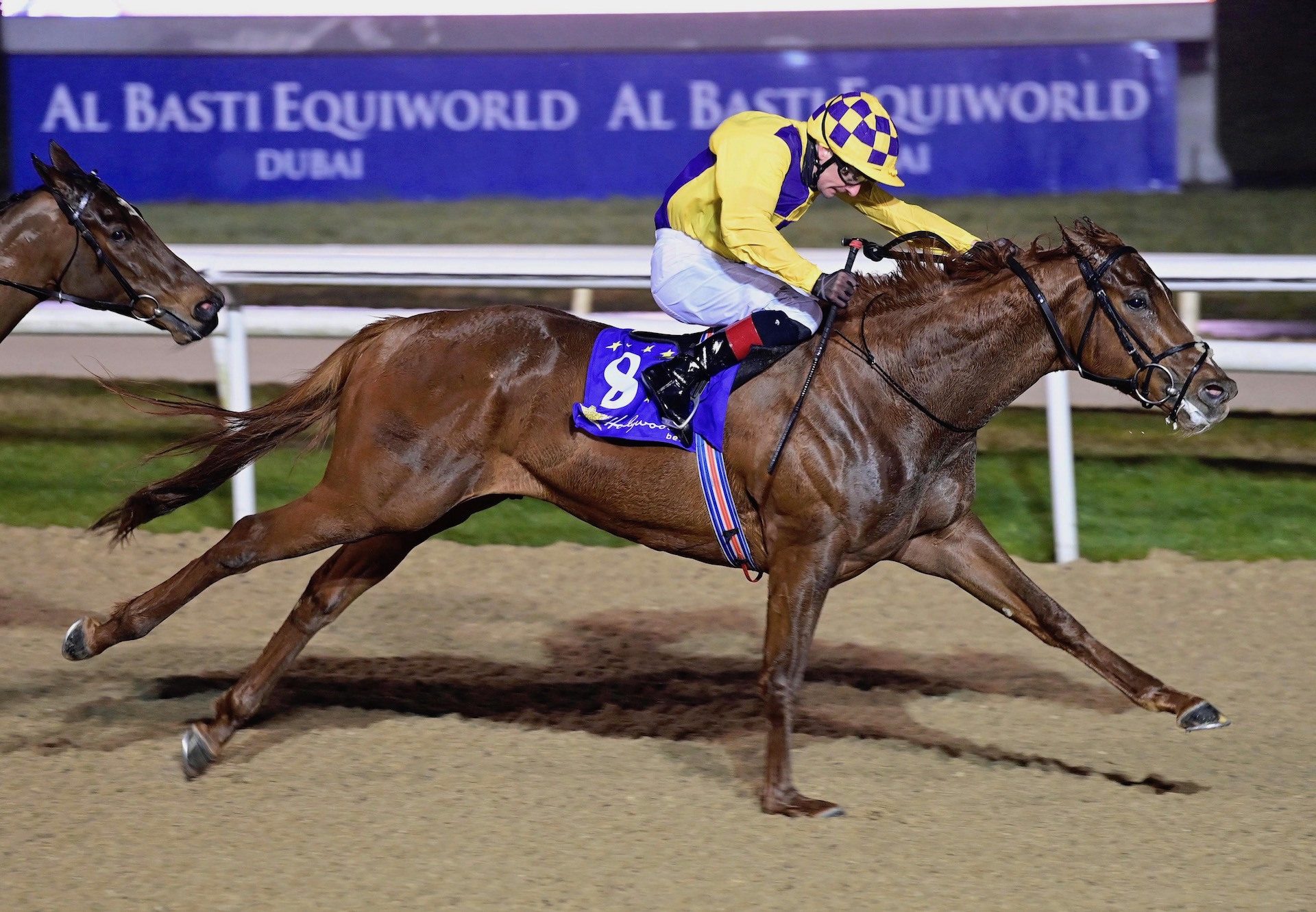 Shackleton Hero (The Gurkha) Wins His Maiden At Dundalk