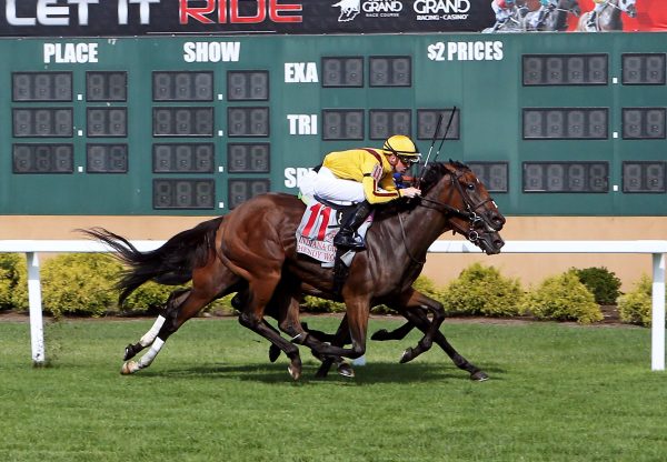 Hendy Woods (Uncle Mo) wins the Indiana Grand Stakes