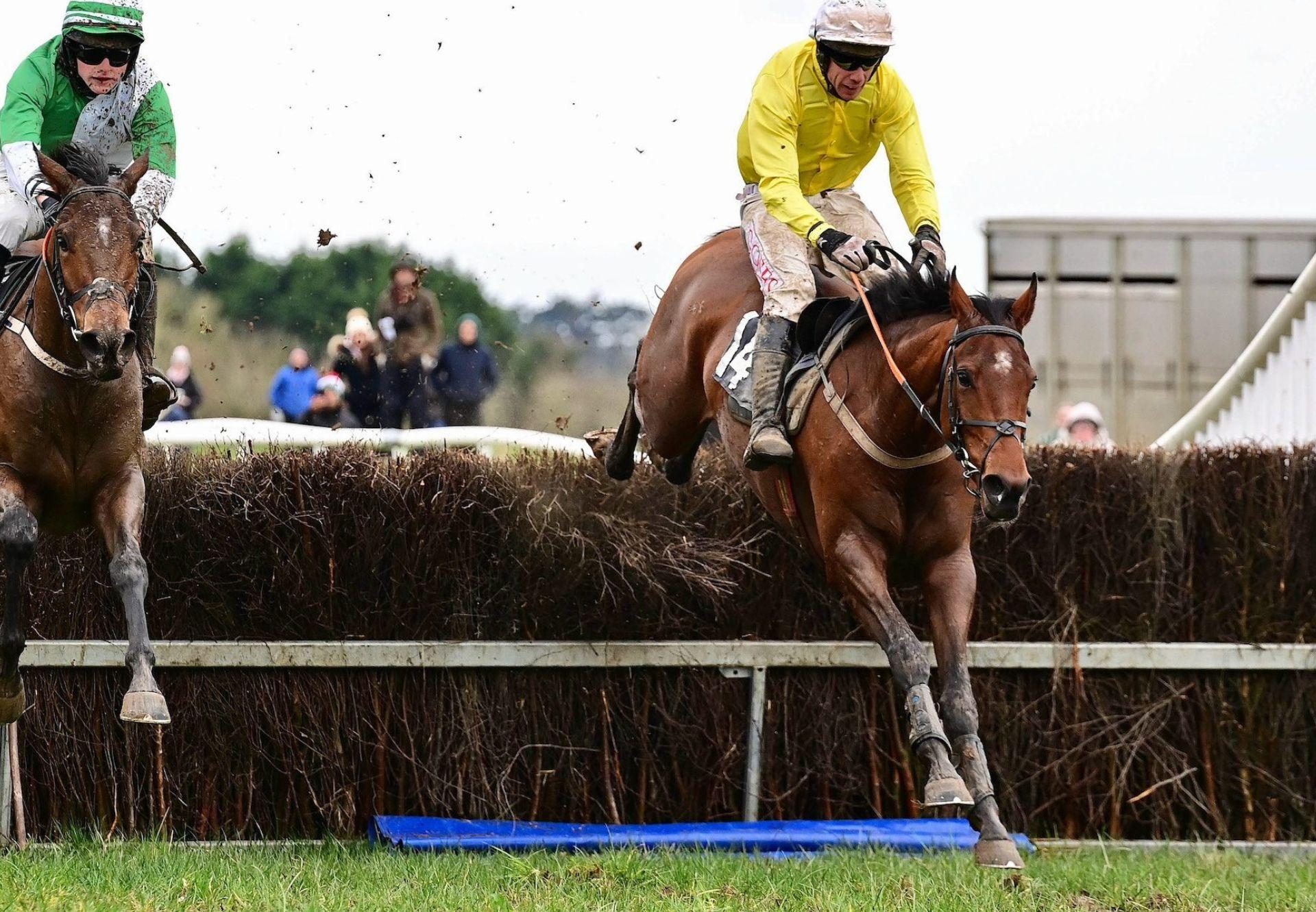 Fiddaun winning at Lisronagh