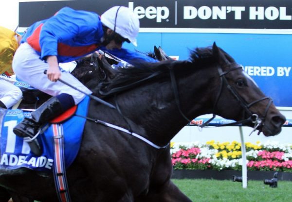 Adelaide winning the Cox Plate
