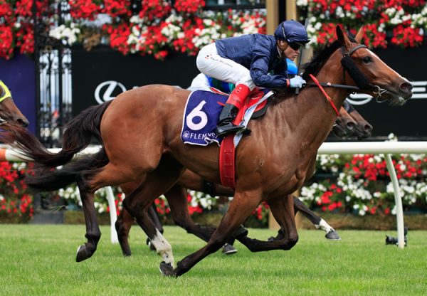 Personal (Fastnet Rock) winning at Flemington