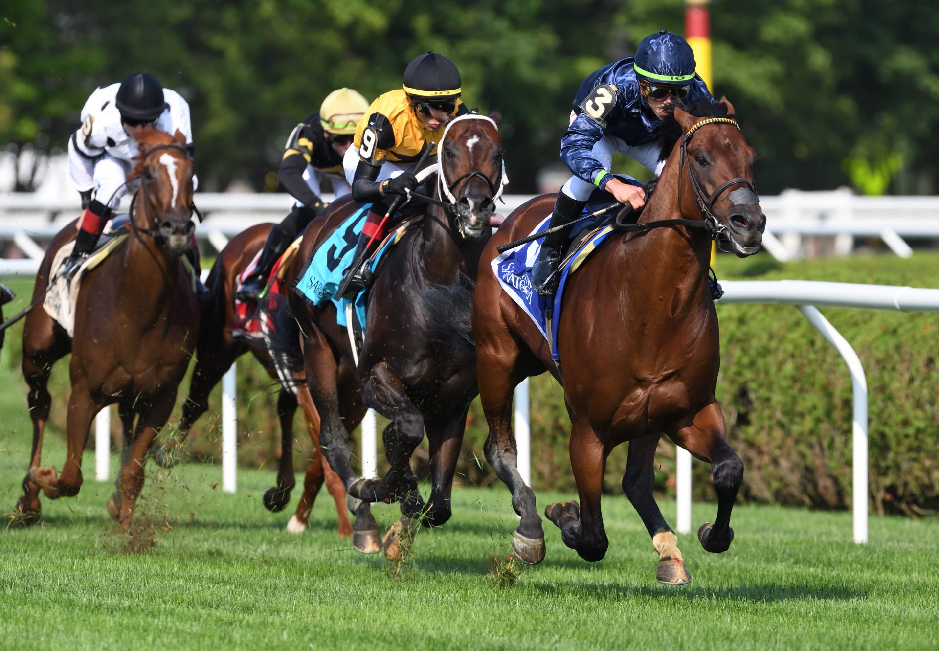 Golden Pal (Uncle Mo) winning the Quick Call Stakes at Saratoga