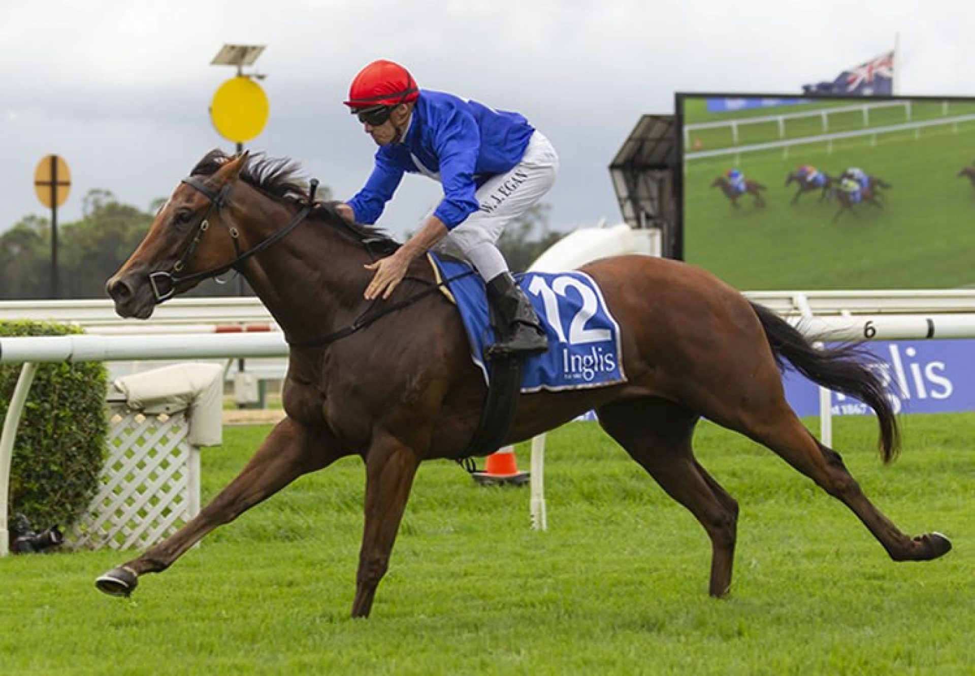 Rubisaki (Rubick) winning the Inglis Sprint