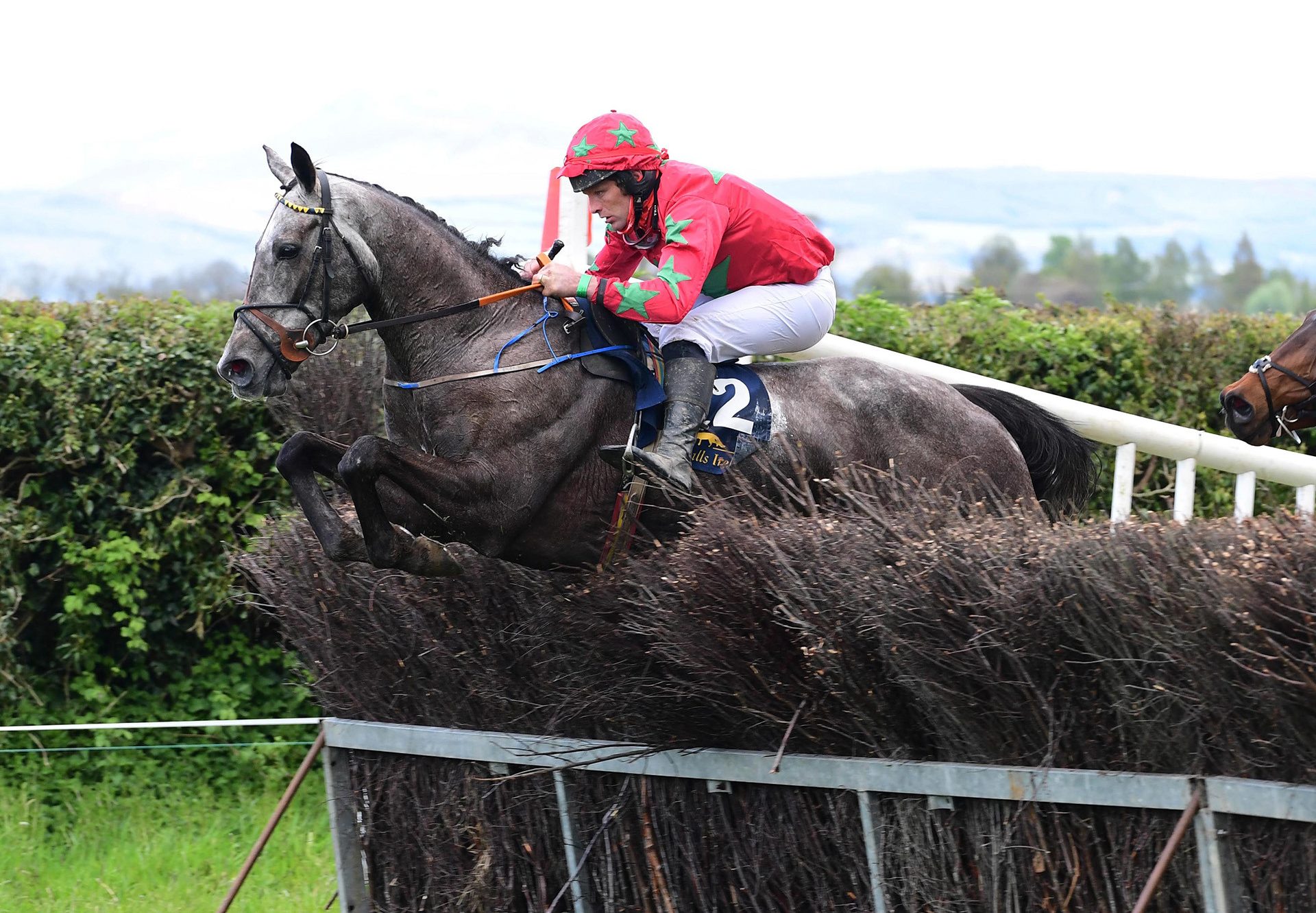 Constant Friday (Mahler) winning at Lisronagh Point-to-Point