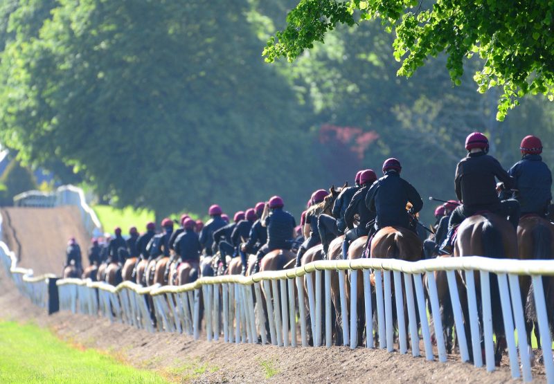 Ballydoyle 285205