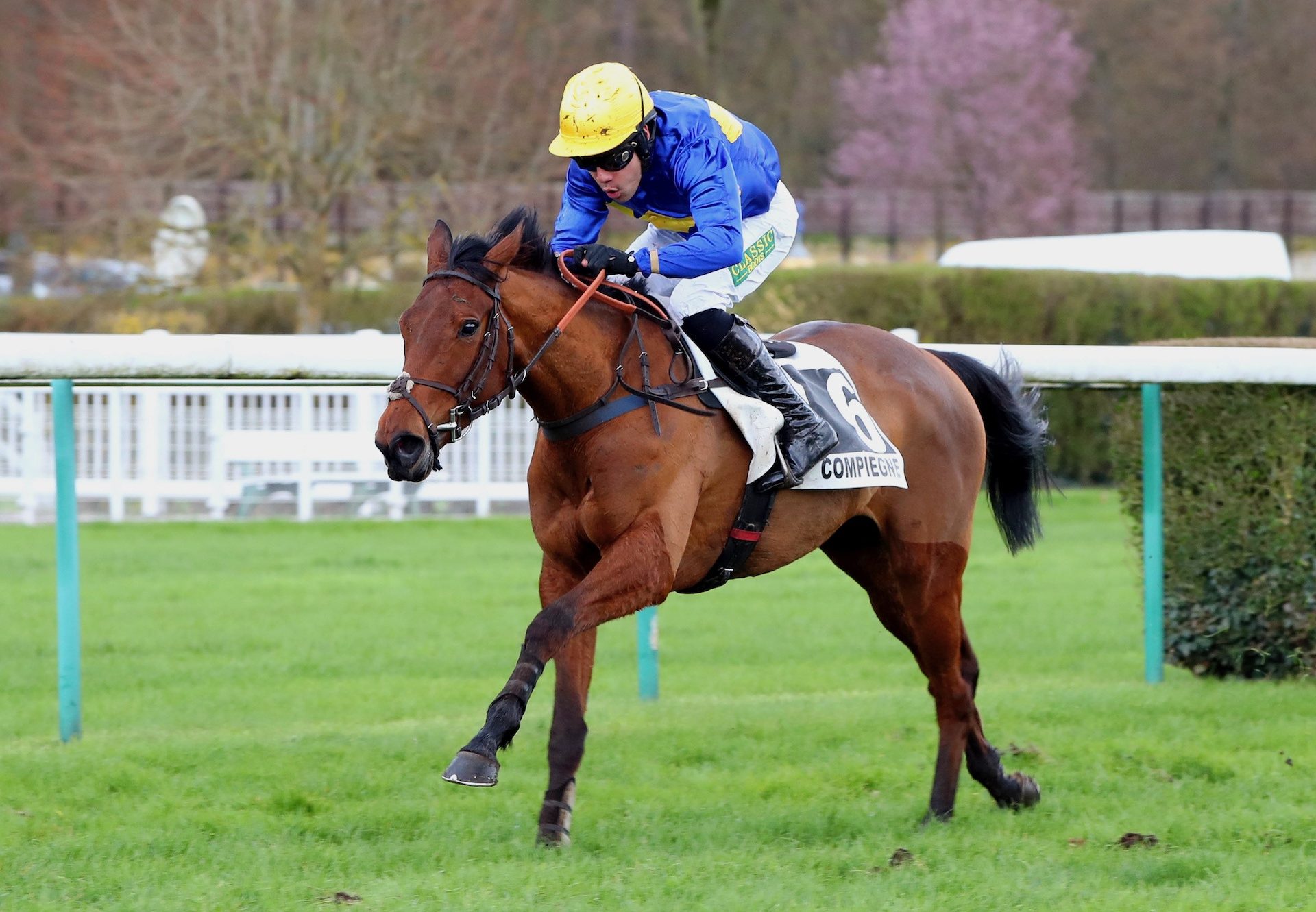 Kochenka (Walk In The Park) Wins At Compiegne