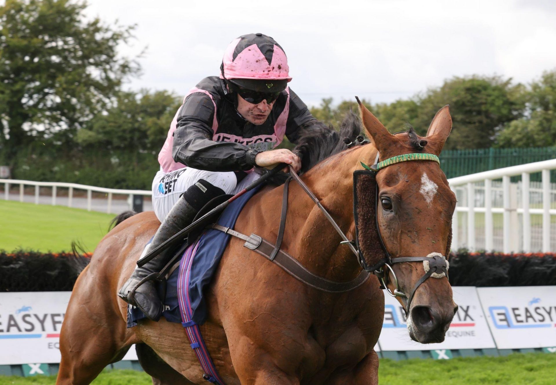 Gale Mahler (Mahler) Wins The Listed Novice Hurdle At Galway