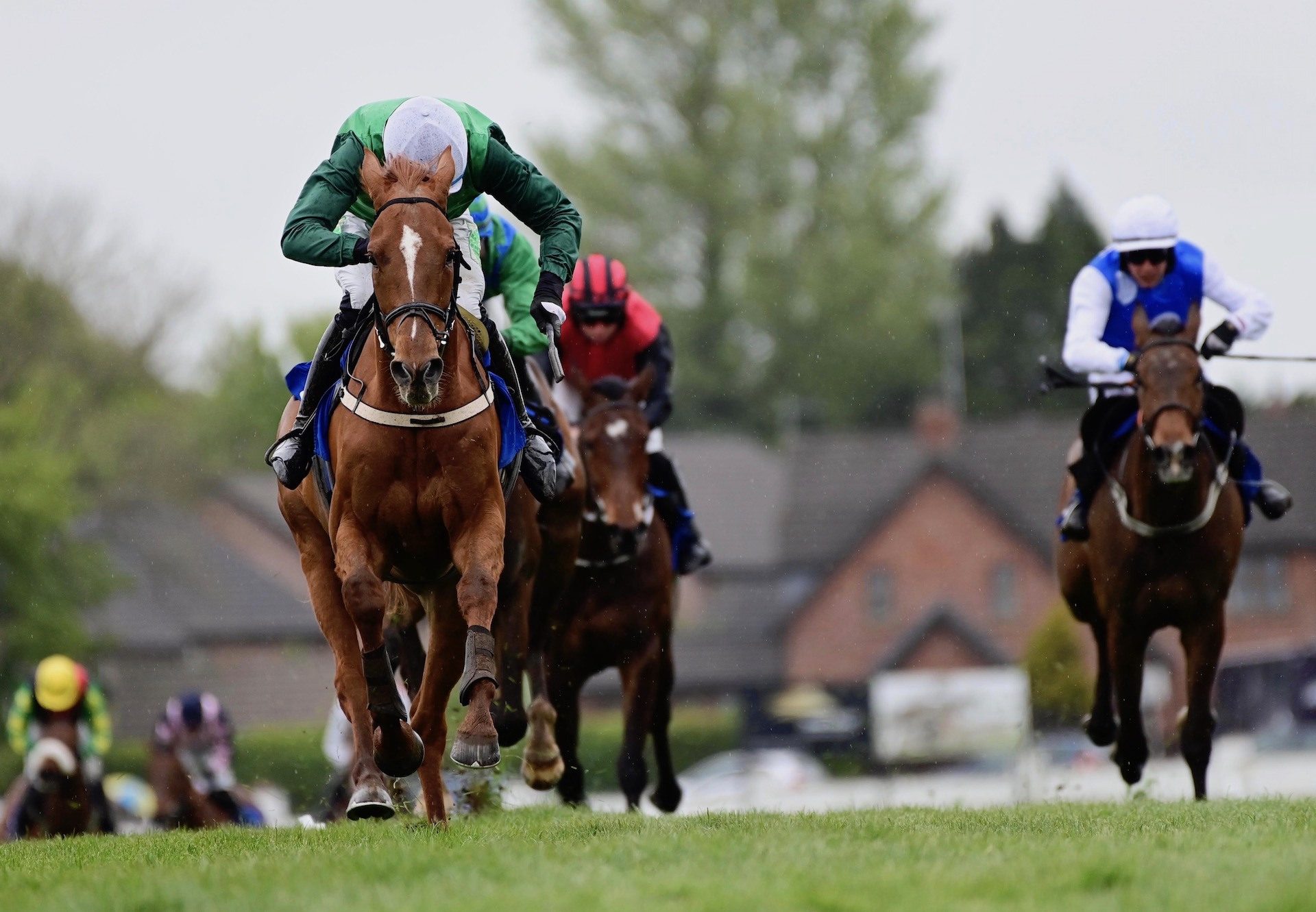 Ballycoose (Mahler) Wins On Debut At Down Royal