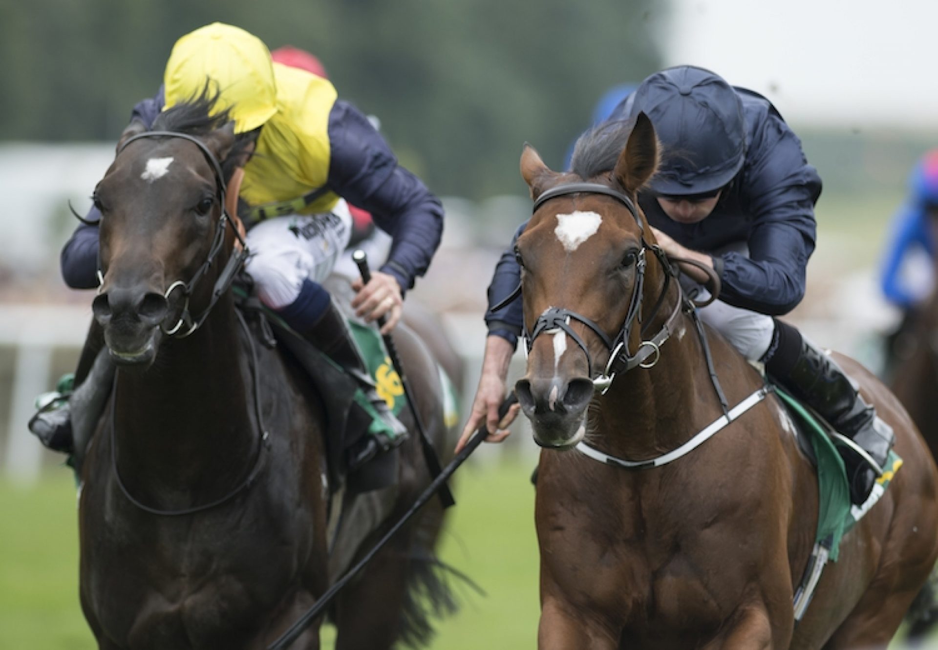 Gustav Klimt (Galileo) winning the Superlative Stakes