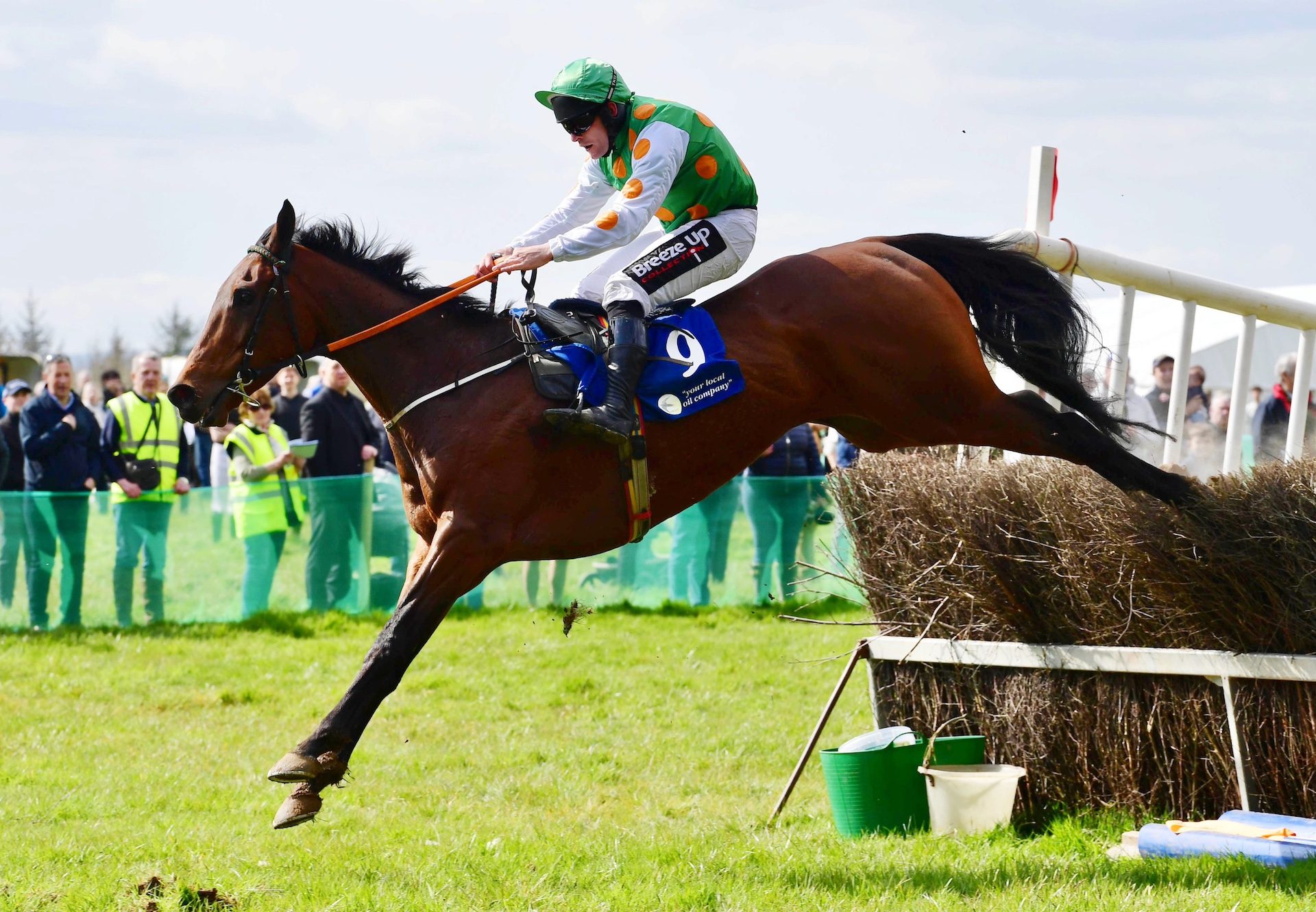 Disguisedlimit (Mahler) Wins The 5 Yo Maiden At Curraghmore