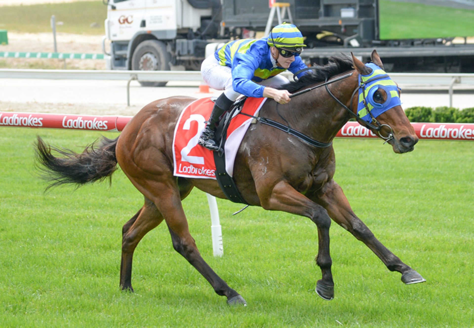 Calico Jack (Merchant Navy) winning at Cranbourne