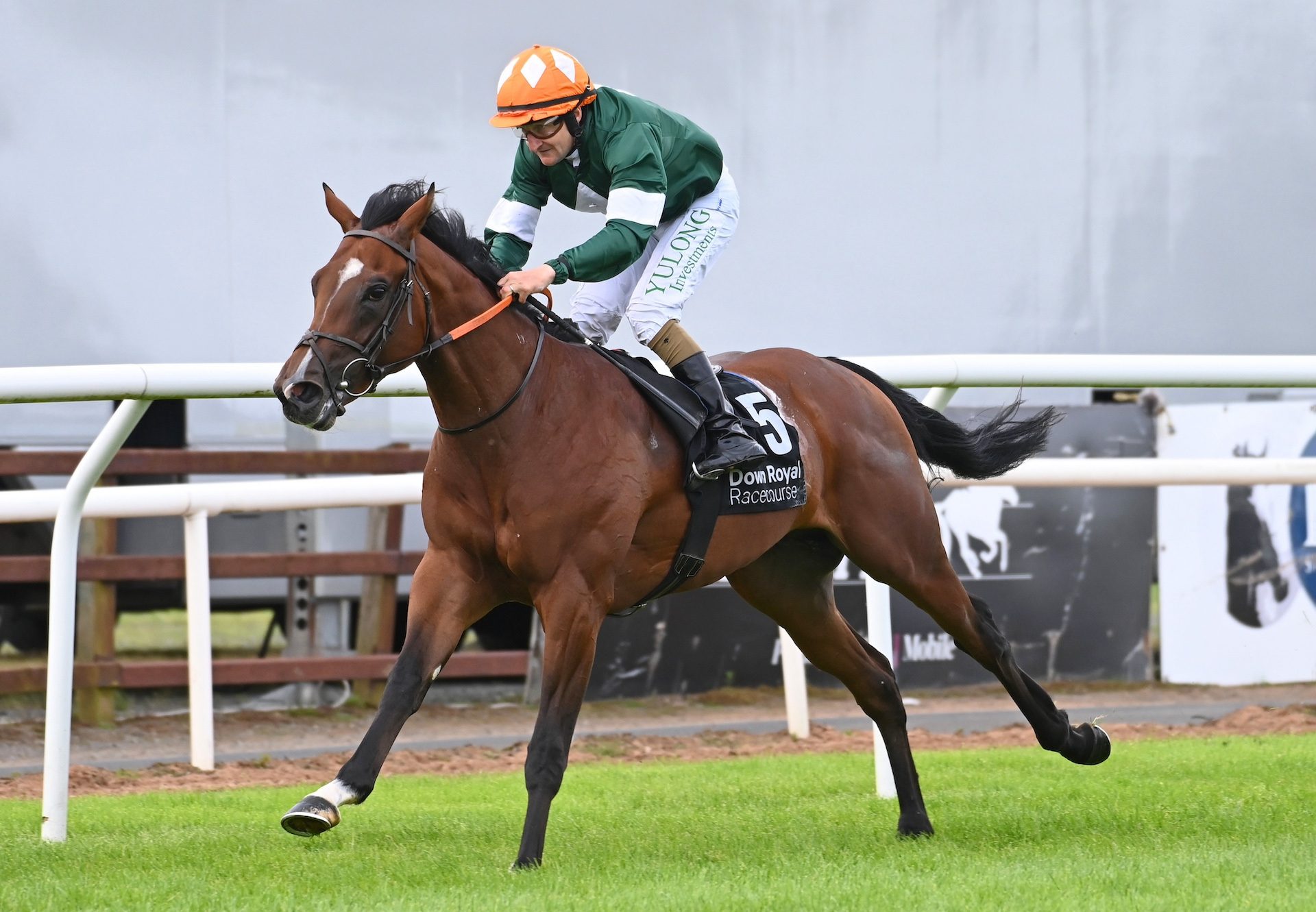 Wizard Of Odds (Arizona) Wins His Maiden At Down Royal