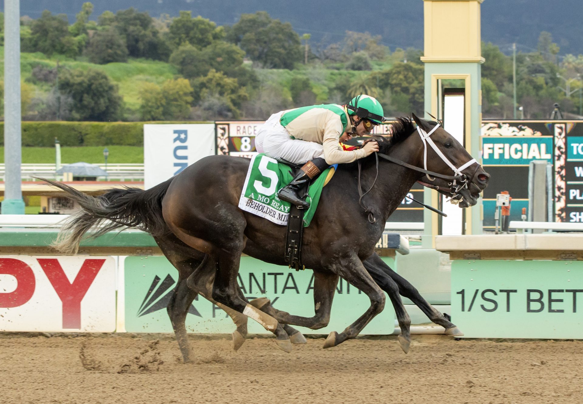 A Mo Reay (Uncle Mo) Wins Gr.1 Beholder Mile Stakes at Santa Anta