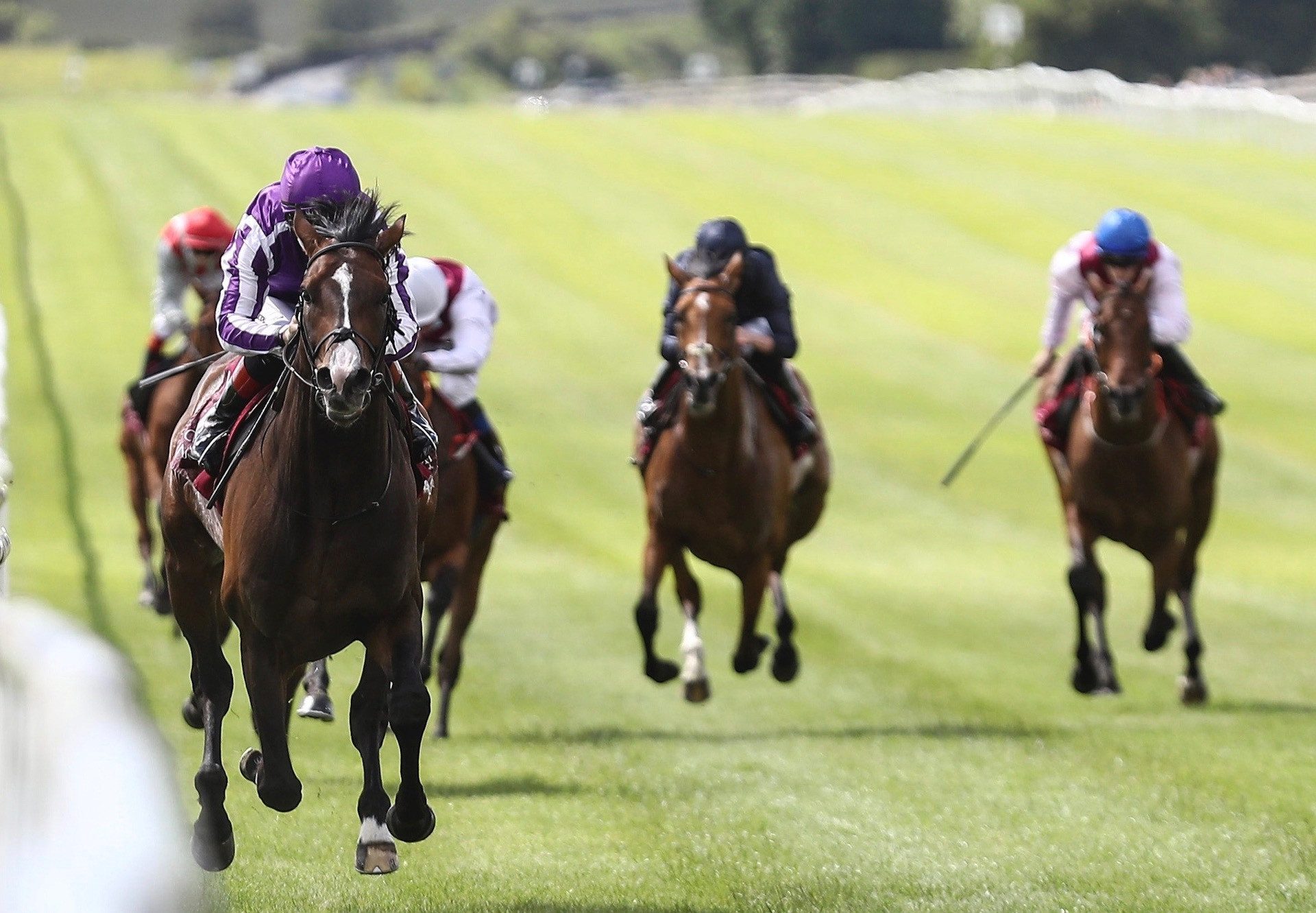 Amhran Na Bhfiann (Galileo) Wins The Gr.2 Curragh Cup at the Curragh